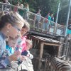 Lidka &raquo; ZOO Jihlava