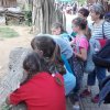 Lidka » ZOO Jihlava