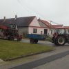 Lidka » Pamětní lípa