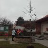 Lidka » Pamětní lípa