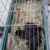 Lidka » Jarní trhy 2019