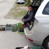 Lidka » Jarní trhy 2019