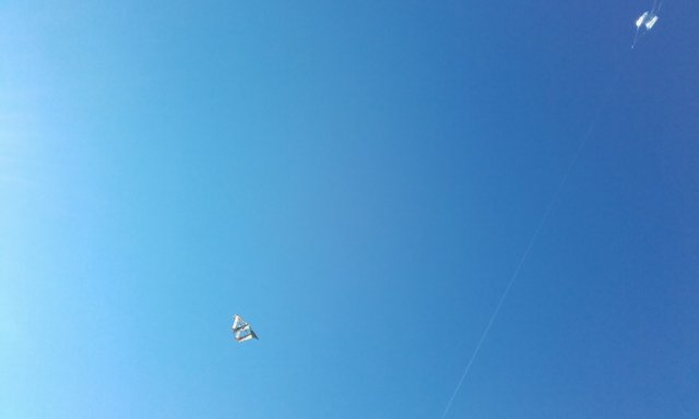 20171014_155205_resize