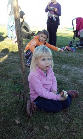 20171014_170336_resize