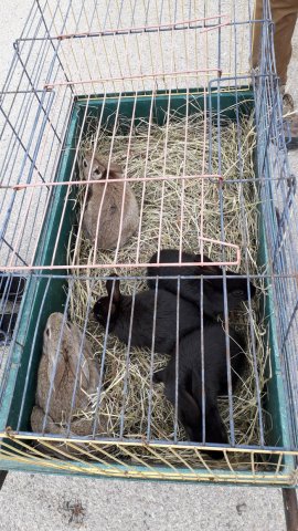20190428_090246_resize
