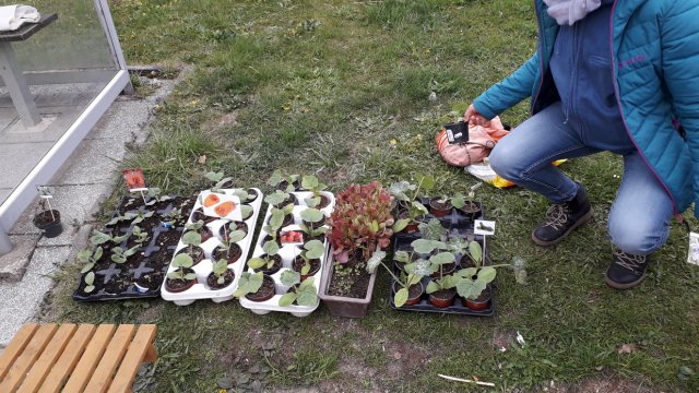20190428_090905_resize