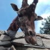 20180519_103007_resize