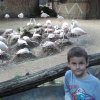 20180519_132723_resize