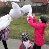 20190407_150822_resize