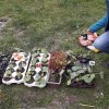 20190428_090905_resize